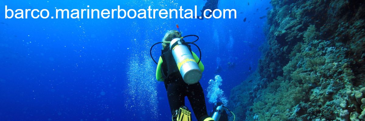 barco.marinerboatrental.com